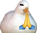 isforpray emote