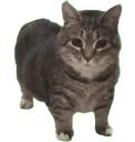 oiiaooiiaaa emote