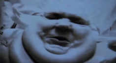 fat emote