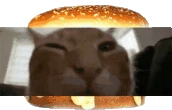 buhgir emote