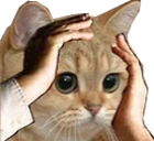 Ohno emote