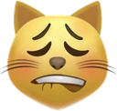 cat_lipbite emoji