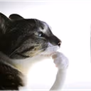 hmm emote