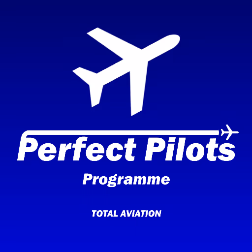 perfect_pilot_logo emote
