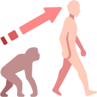 Evolution emote