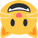 upsidedown_cat emote