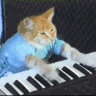 CE_KeyboardCat emote