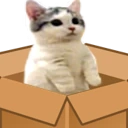 CatSittingVeryComfortableInABox emote