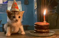 Birthday emote