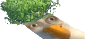 krzaku emote