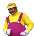 elon_wariodance emote
