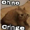 oh_no_cringe_cat emote