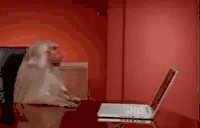 MONKEY emote