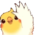 Birb_Waving emote