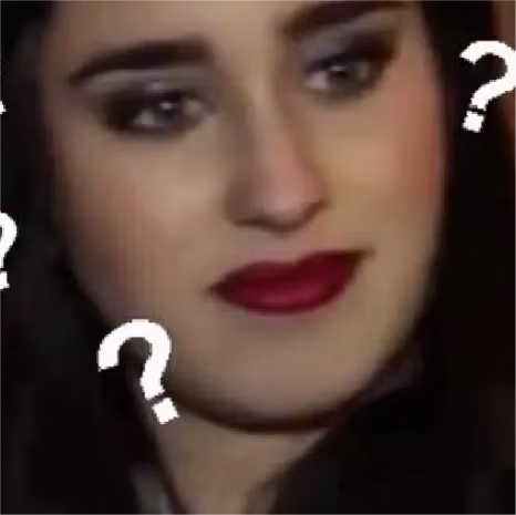 Wtfdidusay emote