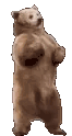 Groove animated emote