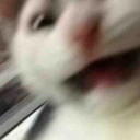 AAAAAAAAAAAA emote