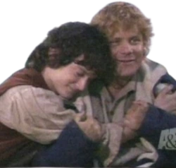 frodosam_hug emote