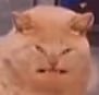 OughWhatTheHell emote