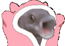BLOOOONKIES animated emote