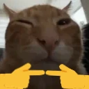 buhwu emote