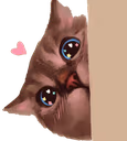 CE_AnmKittyPeek emote