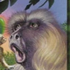 mamaco_pog emote
