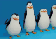 pinguinos animated emote