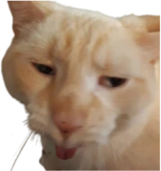 fenathan emote