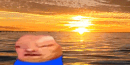 Life animated emote