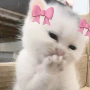 xer0ki avatar