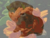 tripBert emote