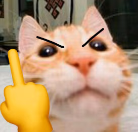 cat_middle_finger sticker