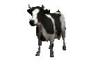 cowSpin emote