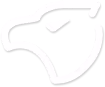 Bloody_dots emote