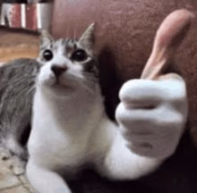 catokay emote