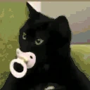 catbaby emote