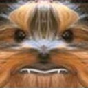 peppahLookingAtYou emote