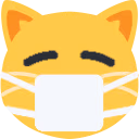 maskCat emote