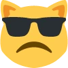 Cat_frowningGlasses emoji