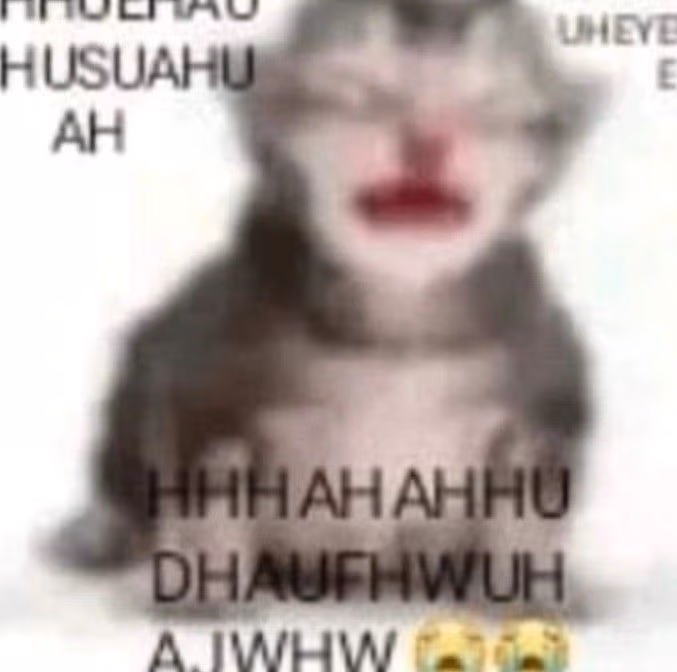 CryingCat emote
