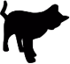 cat emote