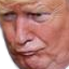 KekTrump static emote