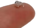 elwiwi emote