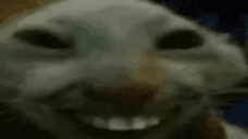 xddLaugh emote