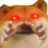 doge_hands emote