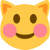 happyflushed_cat_face emote