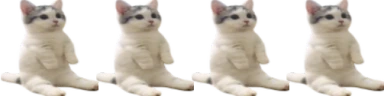 catsittingverycomfortablewithitsfriends emote