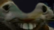 xddentge emote