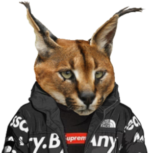 flann avatar